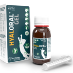 Hyaloral cachorros e gatos gel 50ml
